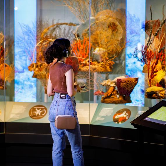 A person standing in front of a coral display