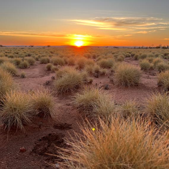 Sunset over Australian outback