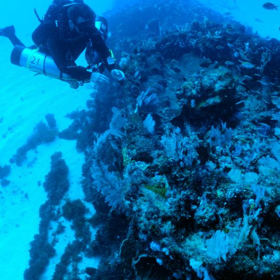 A technical diver from WreckSploration team investigates a wreck site in the Rottnest Deepwater Graveyard off the Western Australian coast.