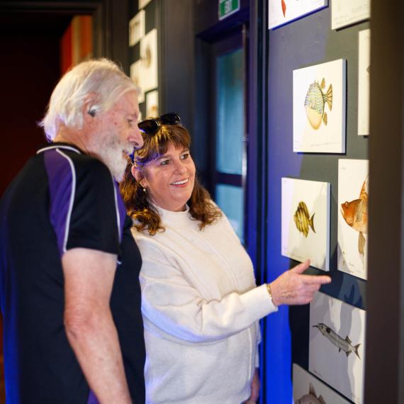 Two people observing fish artwork in a gallery setting.Two people observing fish artwork in a gallery setting.