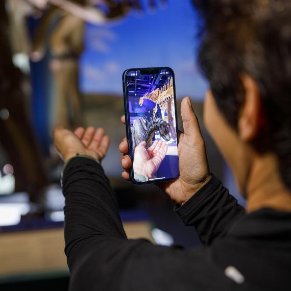 A person holding a phone looking with a 3D dinosaurs featured