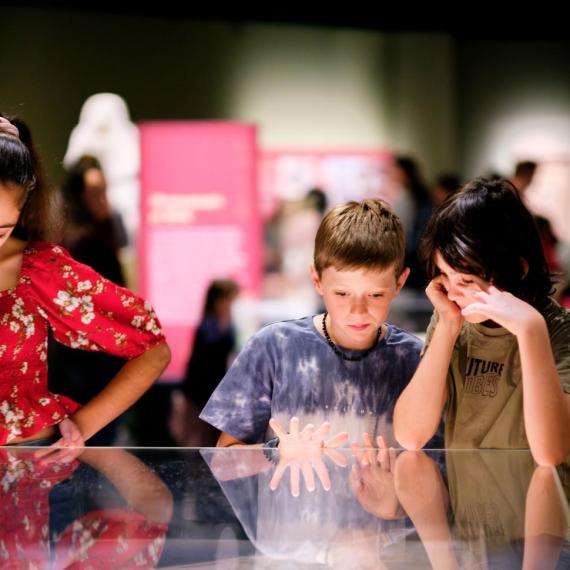 Students looking at objects in glass display cabinet.
