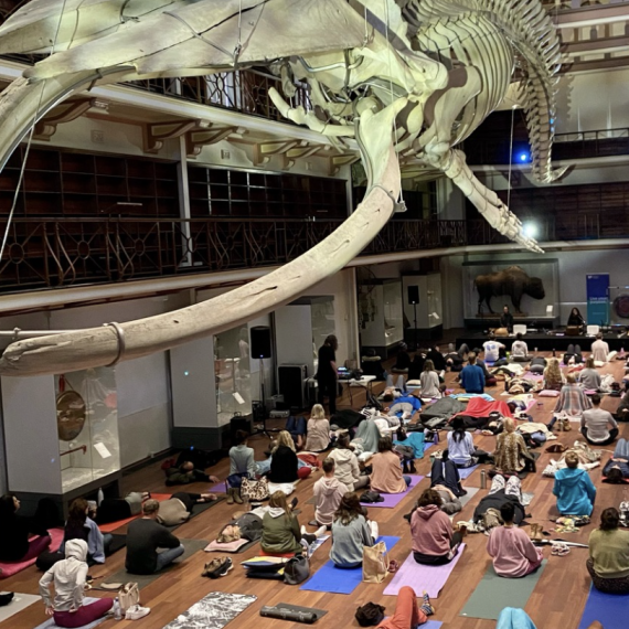 People relaxing on Yoga maps under a Blue WHale Skeleton