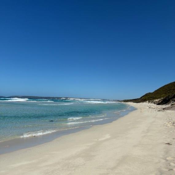 a beach scene