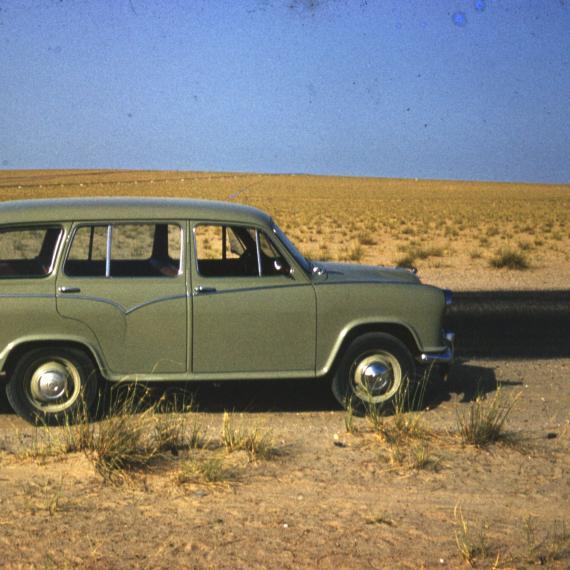 a green car from the 1960s on a dirt road in a nature landscape with only shubs