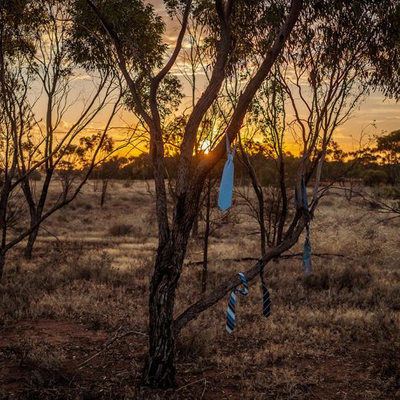 A necktie hanging from a tree