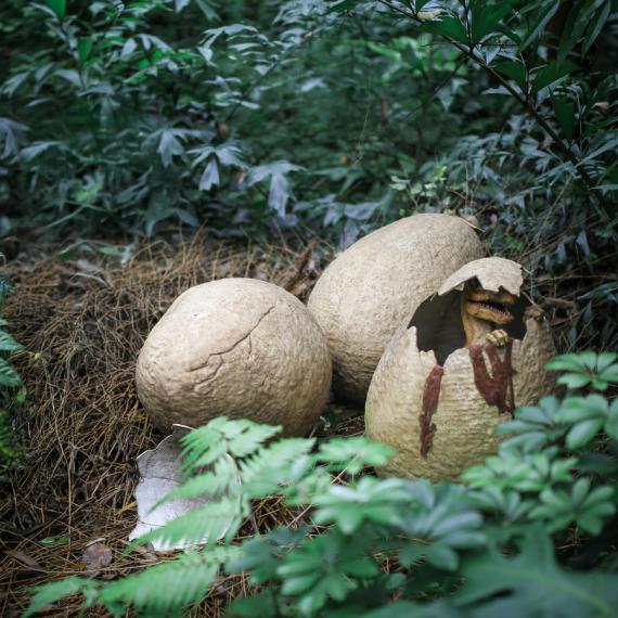 a collection of dinosaur eggs hatching in the forest