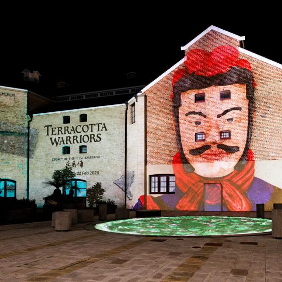 Projections of a warrior illustration on a builiding