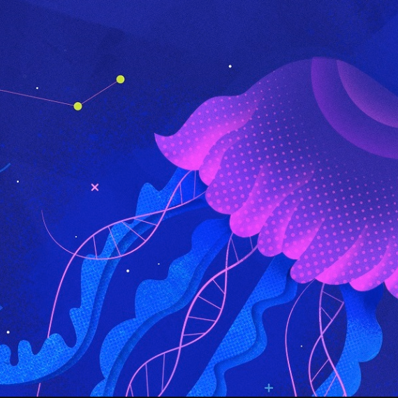 Jellyfish, DNA strands and the night sky feature in this graphic illustration for Quantum Words Fremantle program for Totally Lit 2025 festival
