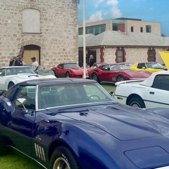 Vintage corvettes, blue, white, red and yellow, displayed on a grassed area in front of the Shipwrecks Museum, a section of which is visible