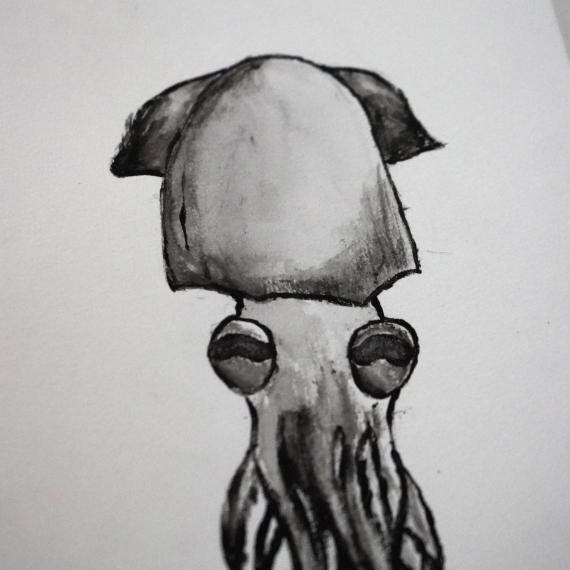 Black and white image of a squid