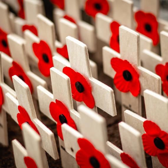Close up of a sea of wooden crosses bearing red and black poppies staked into soil 
