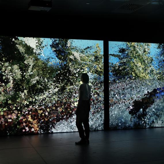 Silhouette of a person looking up at a large screen displaying an artist video of a whale underwater.