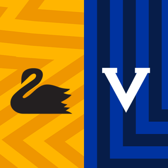 A black swan graphic is layered upon a stripy yellow background on the left, and a white V graphic is layered upon a stripy blue background to the right