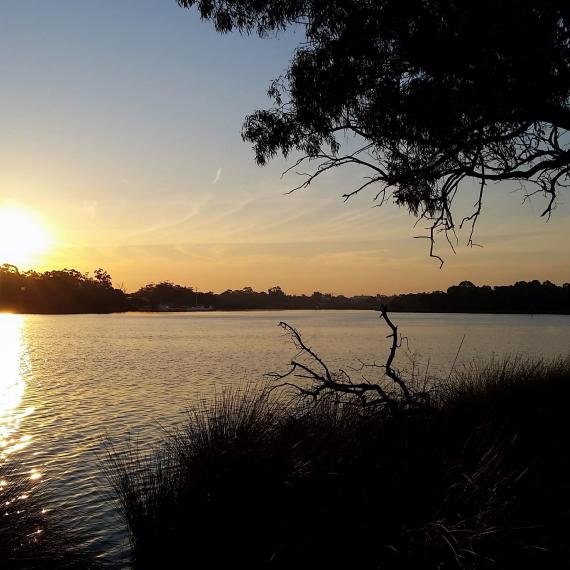 An image of the river