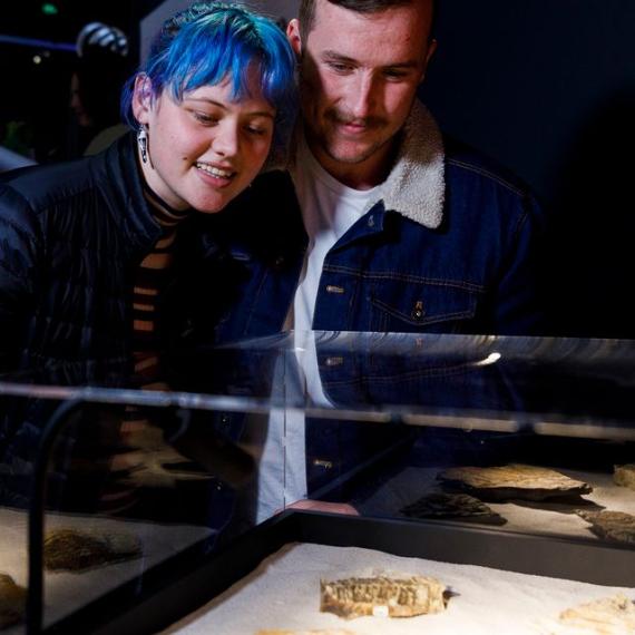 A woman with short blue hair and a man with short brown hair and a moustache smile as they lean over a glass case of objects.