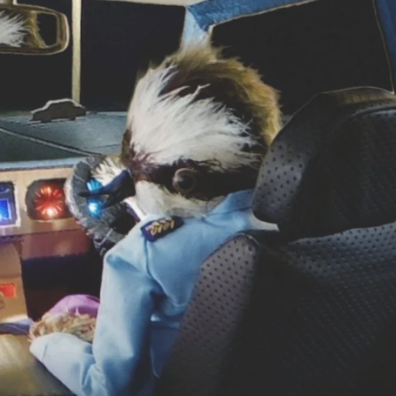 A personified bird sits in a car driving