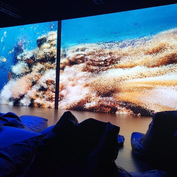 cinema theatre with beanbags in forefront and screen in the background with vibrant scenes.