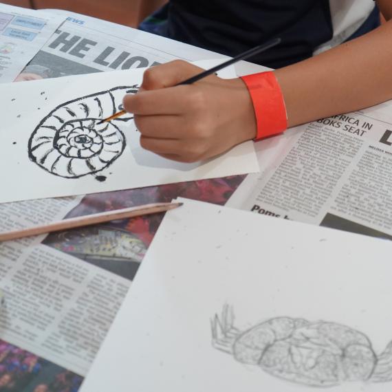 child drawing a shell using black ink and fine paintbrush