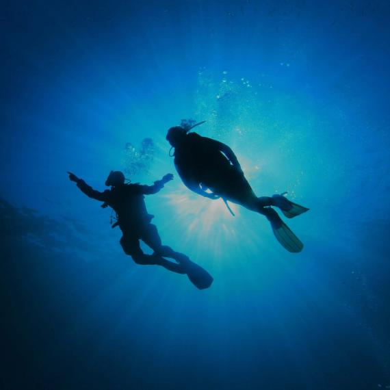 Two scuba divers silhouetted against bright blue sunlight underwater, swimming upward toward the surface.