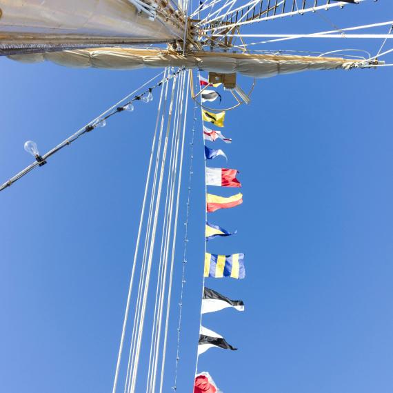 Flag on boat 