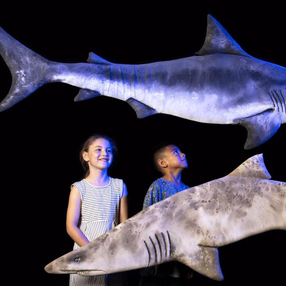 Two kids looking at shark puppets