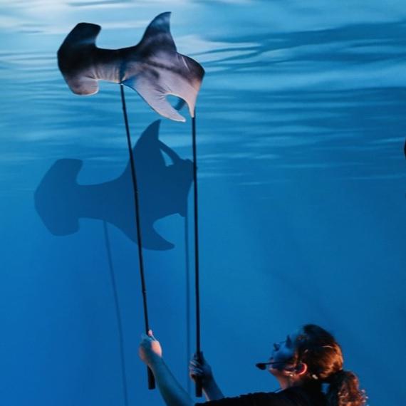 Hammerhead shark puppet being operated by a person holding the puppet above their head against an ocean backdrop