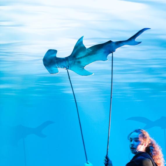 Hammerhead shark puppet being operated by a person holding the puppet above their head against an ocean backdrop