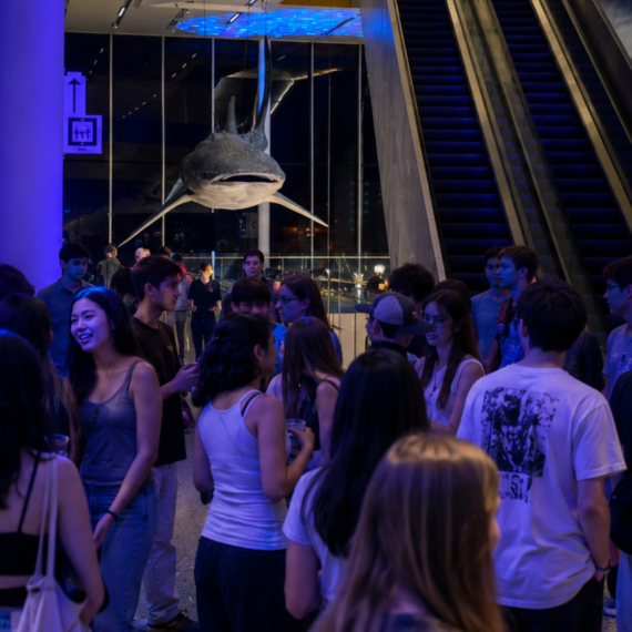 Teenagers at the museum with a whale shark in the background