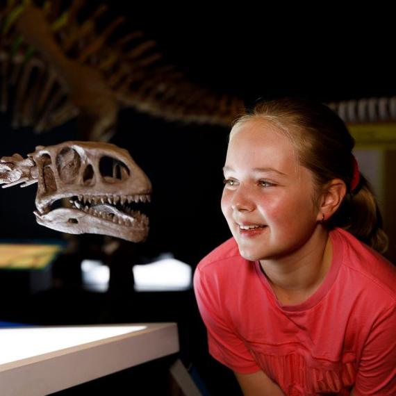 In the image, a young girl wearing a red t-shirt is eye to eye wit the skeletal head of a dinosaur