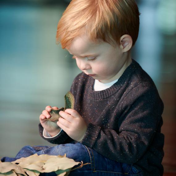 a young child of toddler age examines some garden foliage