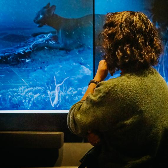 A woman is seen from behind looking at a digital display of the exhibition